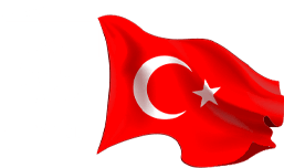 TURKISH CITIZENSHIP